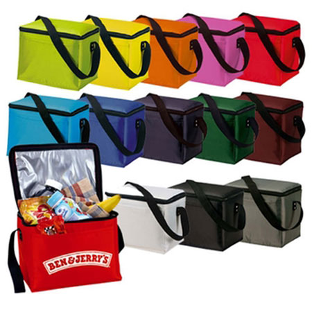 Picnic Cooler Bag