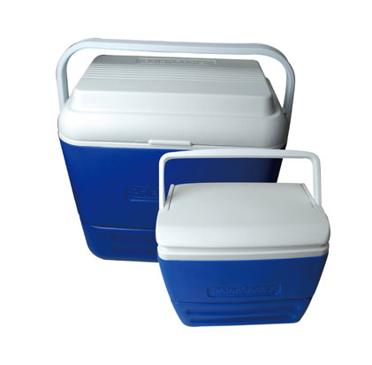 Promotional Plastic Cooler Box