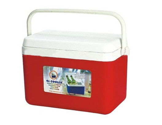 4L Promotional Plastic Cooler Box